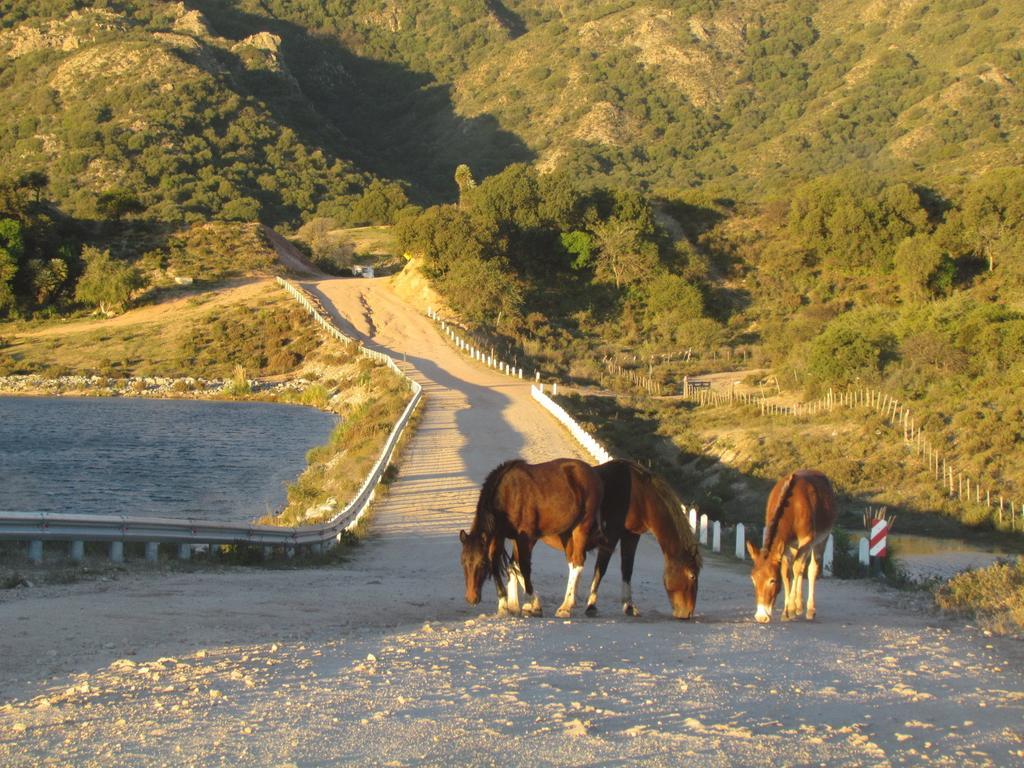 Cabanas De Montana San Miguel Cortaderas Buitenkant foto