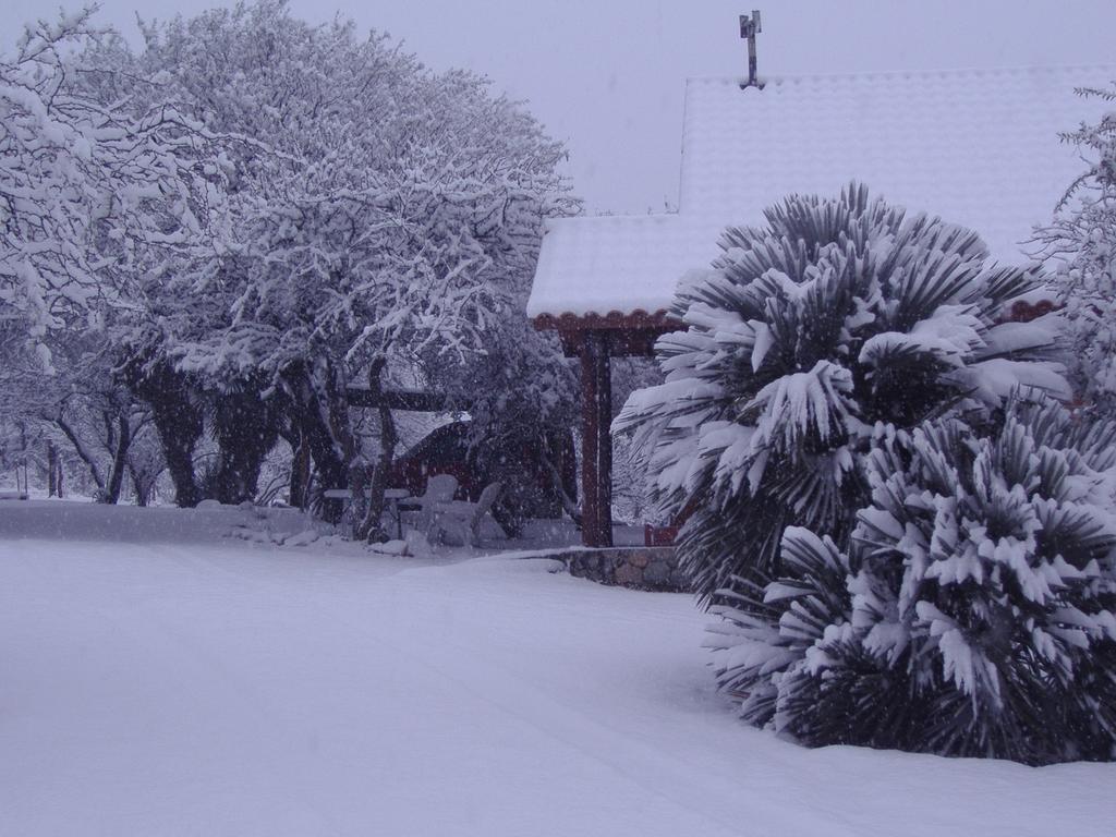 Cabanas De Montana San Miguel Cortaderas Kamer foto